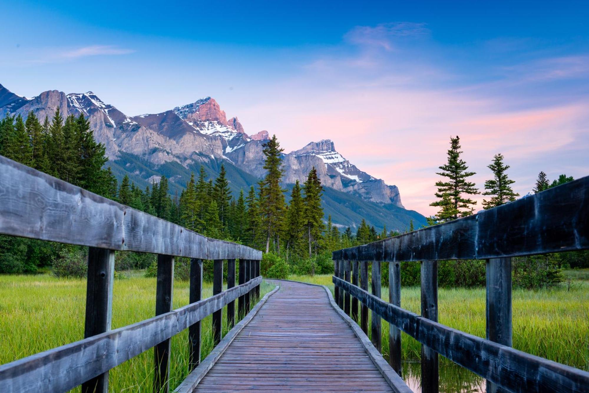 A Bear And Bison Country Inn Канмор Экстерьер фото