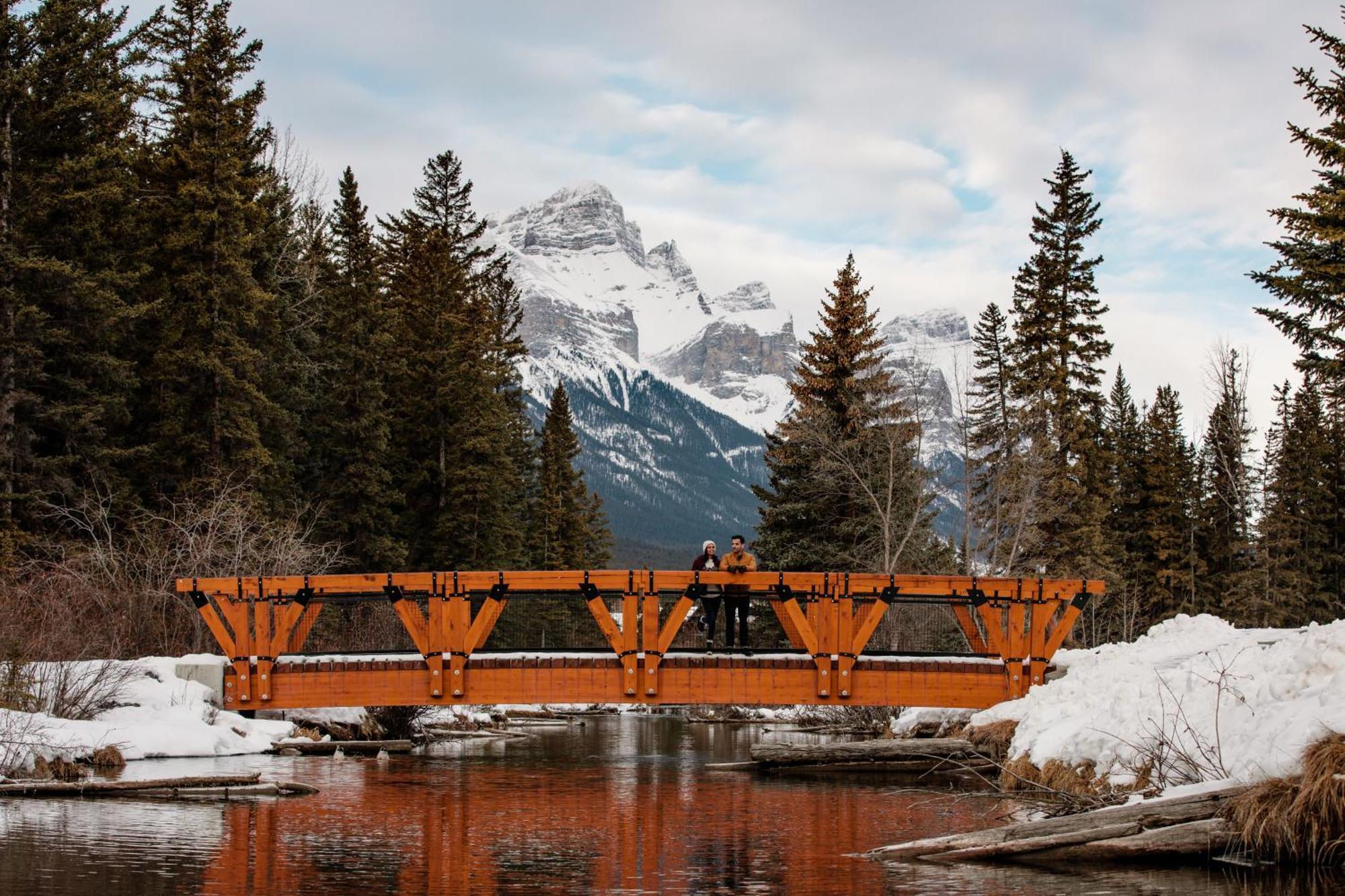 A Bear And Bison Country Inn Канмор Экстерьер фото