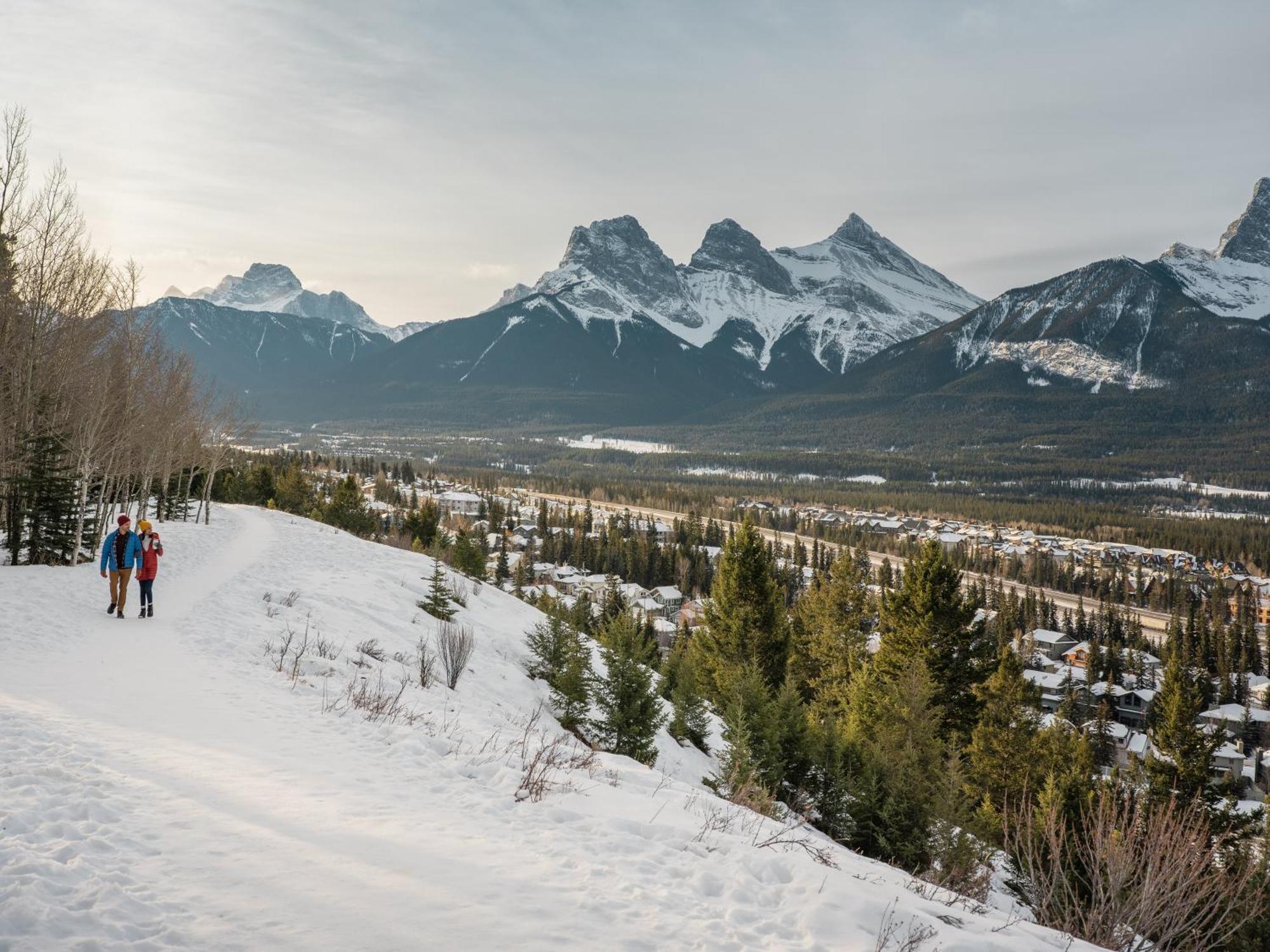 A Bear And Bison Country Inn Канмор Экстерьер фото