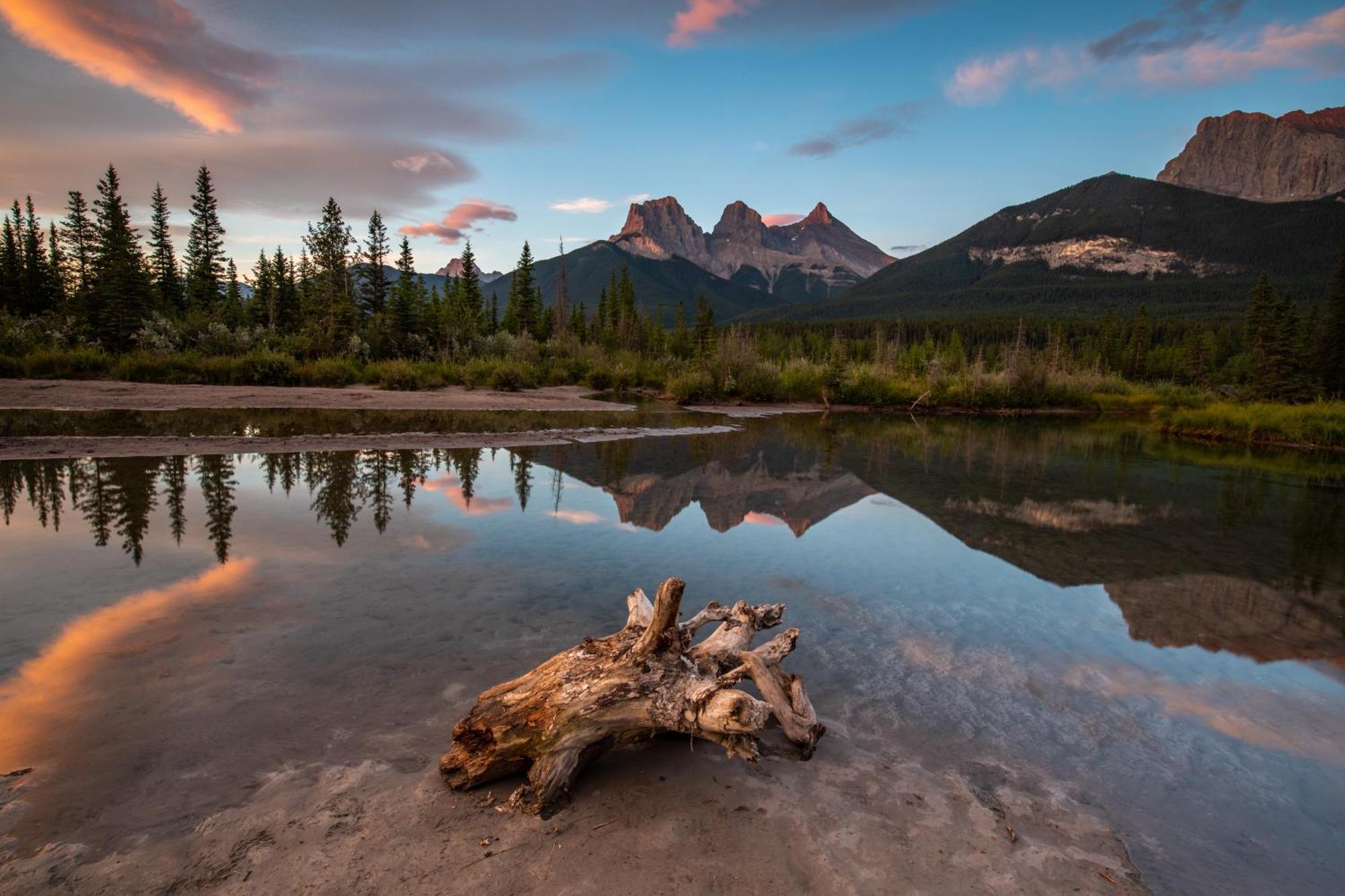 A Bear And Bison Country Inn Канмор Экстерьер фото